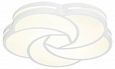 Накладной светильник Escada Lodi 10209/1LED 10209/1LED