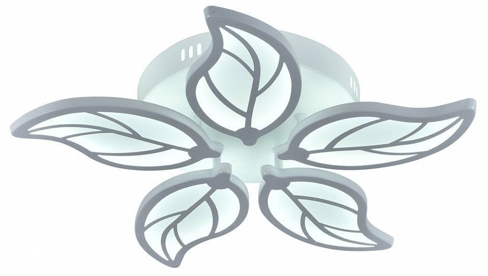 Потолочная люстра Escada Foliage 10214/5LED