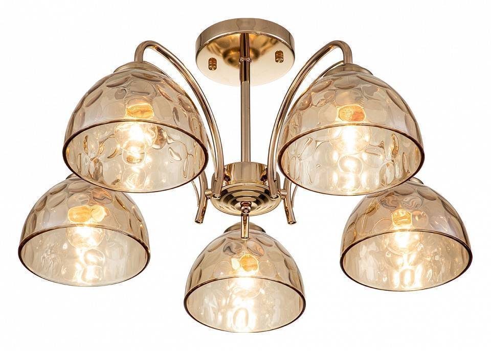 Накладной светильник Escada Mallow 665/5P 665/5P