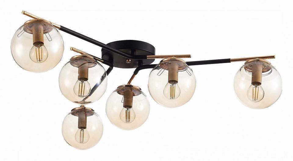 Потолочная люстра EVOLUCE Literno SLE106902-06