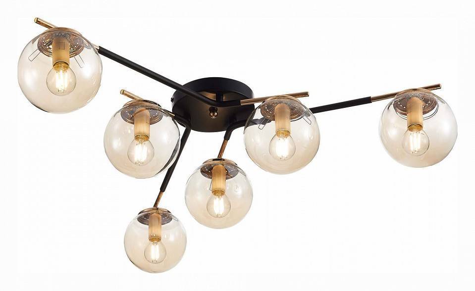 Потолочная люстра EVOLUCE Literno SLE106902-06