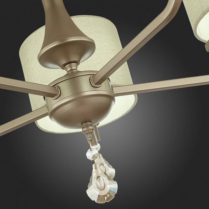 Подвесная люстра EVOLUCE Elida 5xE14 SLE107703-05