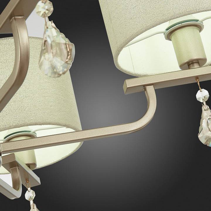 Подвесная люстра EVOLUCE Elida 5xE14 SLE107703-05