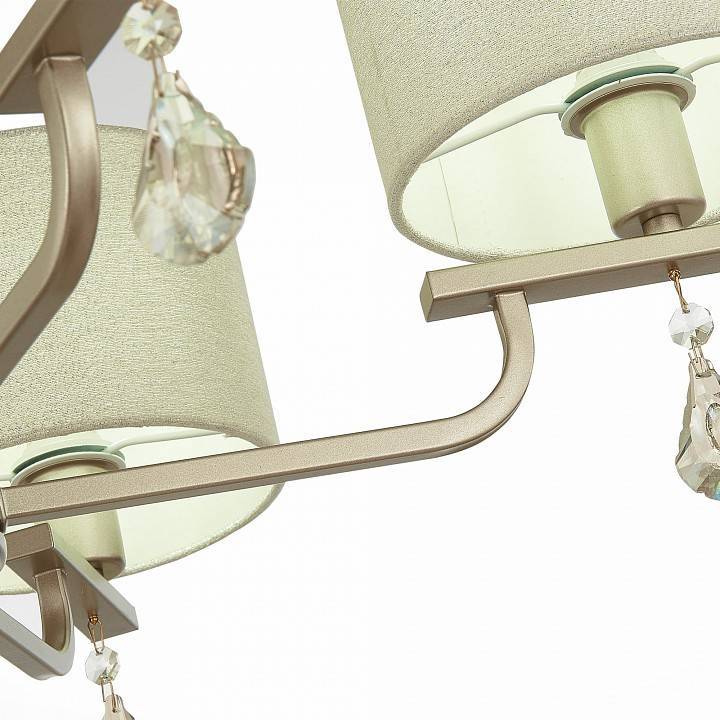 Подвесная люстра EVOLUCE Elida 5xE14 SLE107703-05