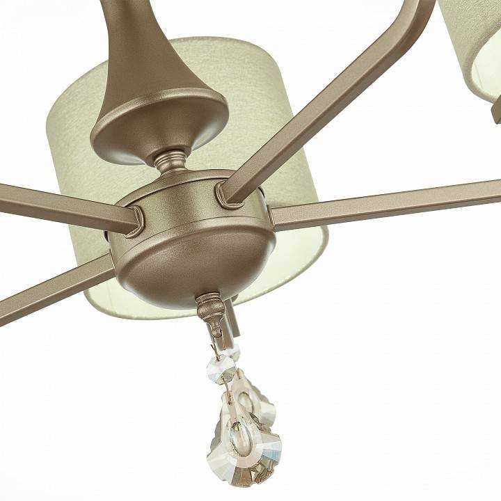 Подвесная люстра EVOLUCE Elida 5xE14 SLE107703-05