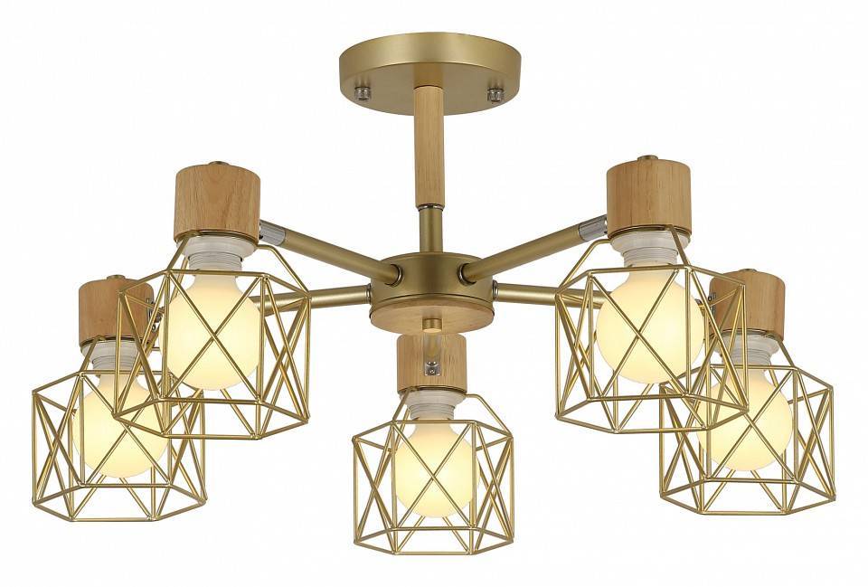 Люстра на штанге EVOLUCE Stelitto 5 ламп SLE110402-05