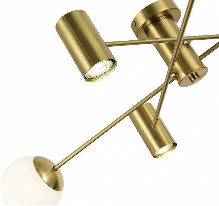 Потолочная люстра EVOLUCE Raito SLE1105-302-06