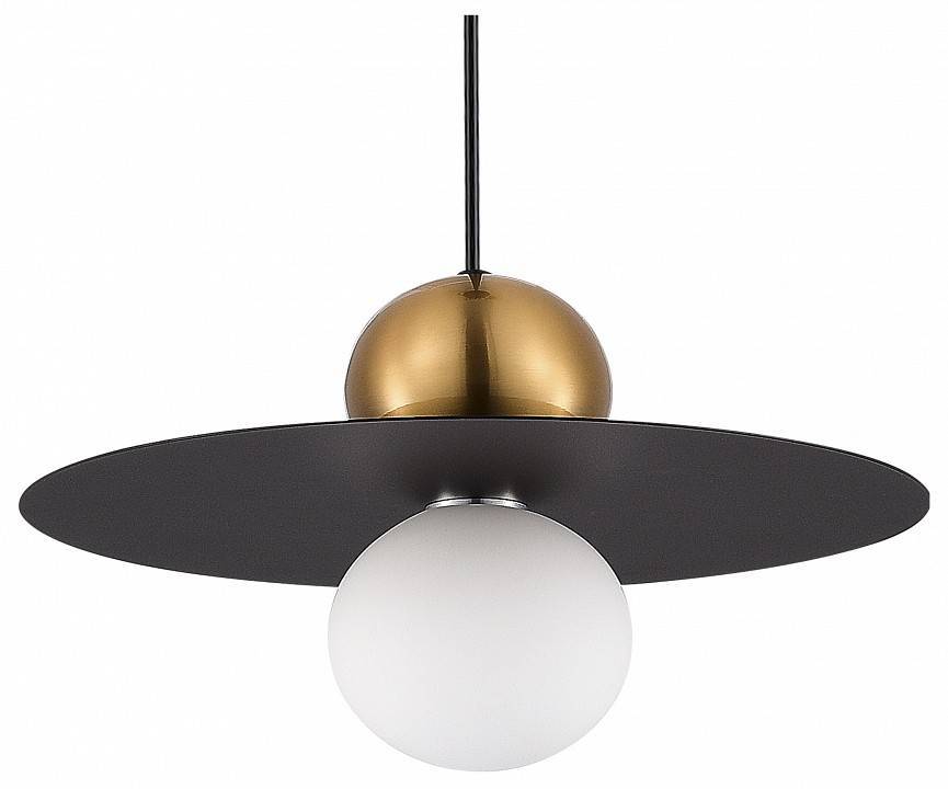 Подвесной светильник Evoluce Rizz 1 лампа SLE1257-433-01