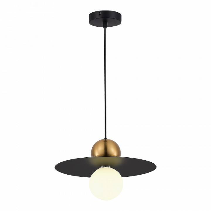 Подвесной светильник Evoluce Rizz 1 лампа SLE1257-433-01