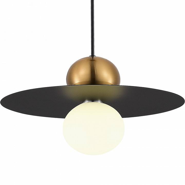 Подвесной светильник Evoluce Rizz 1 лампа SLE1257-433-01