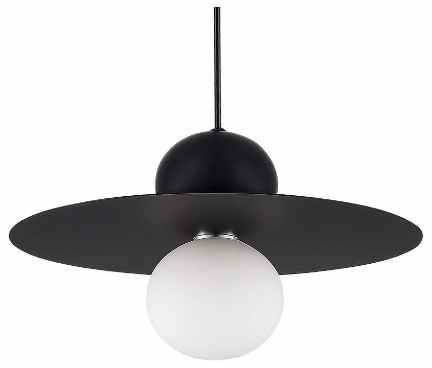 Подвесной светильник Evoluce Rizz 1 лампа SLE1257-443-01