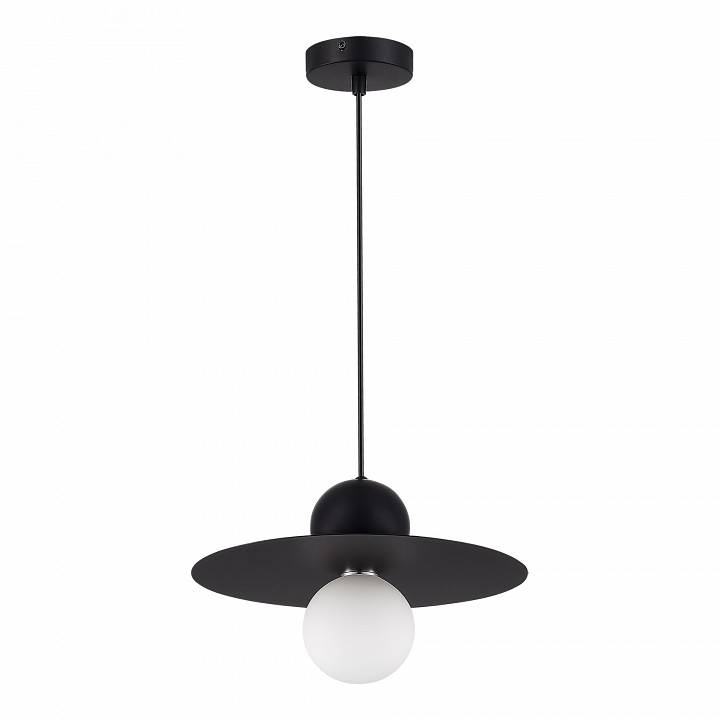 Подвесной светильник Evoluce Rizz 1 лампа SLE1257-443-01