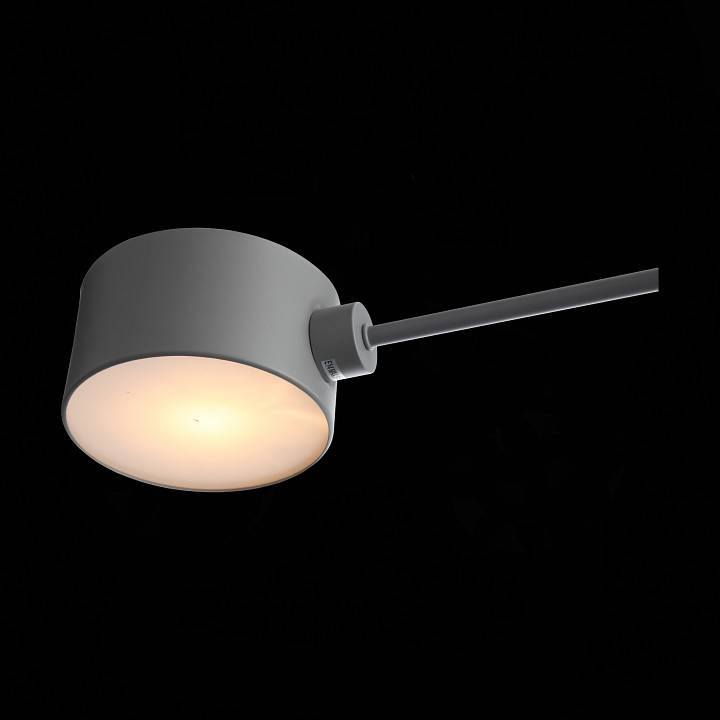 Люстра на штанге EVOLUCE Gimento 4 лампы SLE183702-04