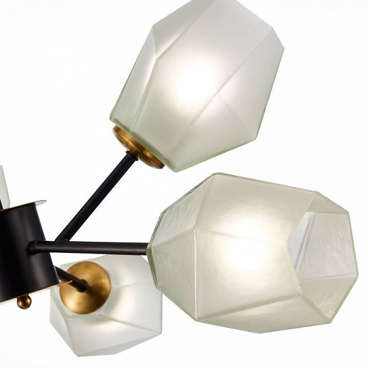 Люстра на штанге EVOLUCE Terramo 6 ламп SLE205102-06