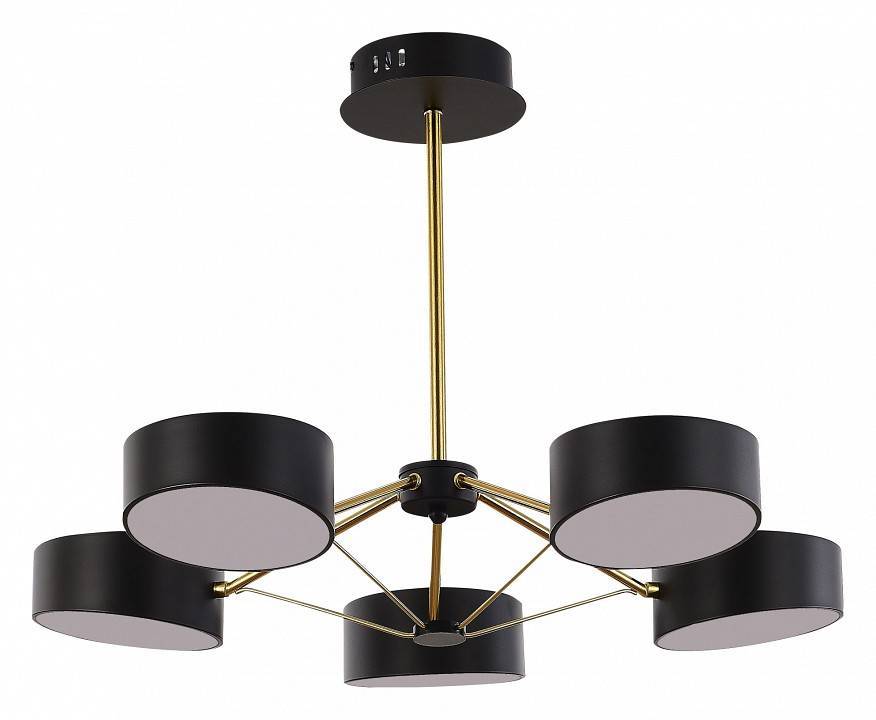 Люстра на штанге EVOLUCE Valle 5 ламп SLE6005-402-05