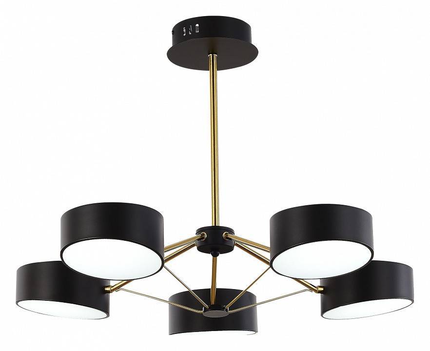 Люстра на штанге EVOLUCE Valle 5 ламп SLE6005-402-05