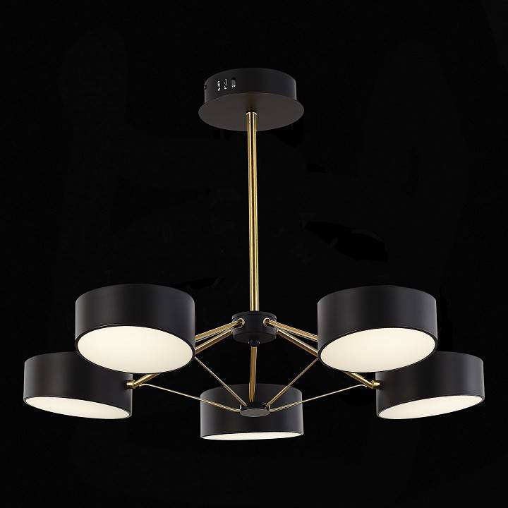 Люстра на штанге EVOLUCE Valle 5 ламп SLE6005-402-05