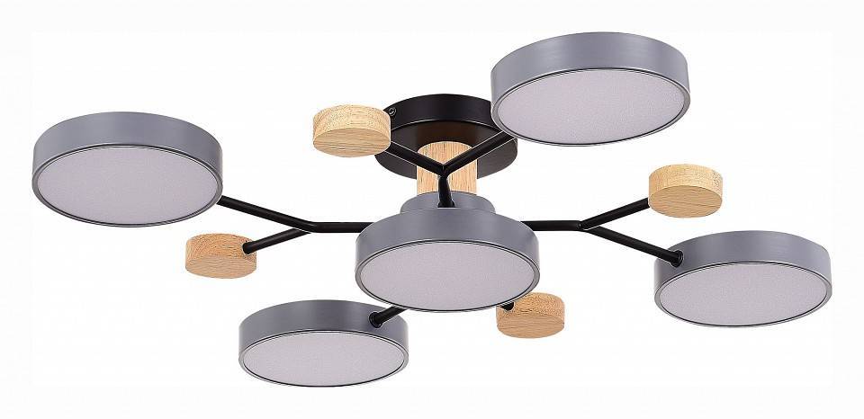 Потолочная люстра EVOLUCE Faema 5 ламп SLE6006-702-05