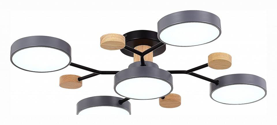 Потолочная люстра EVOLUCE Faema 5 ламп SLE6006-702-05