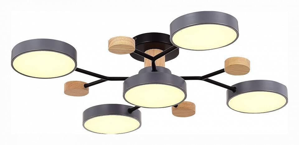 Потолочная люстра EVOLUCE Faema 5 ламп SLE6006-702-05