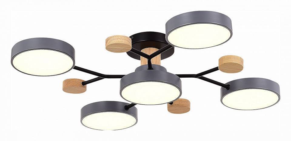 Потолочная люстра EVOLUCE Faema 5 ламп SLE6006-702-05