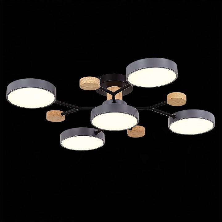 Потолочная люстра EVOLUCE Faema 5 ламп SLE6006-702-05