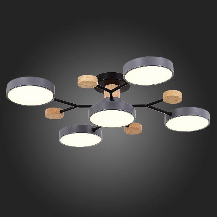 Потолочная люстра EVOLUCE Faema 5 ламп SLE6006-702-05