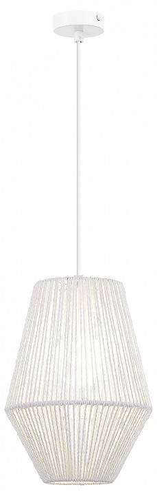 Подвесной светильник EVOLUCE ETTAN 1хE27 SLE6025-513-01