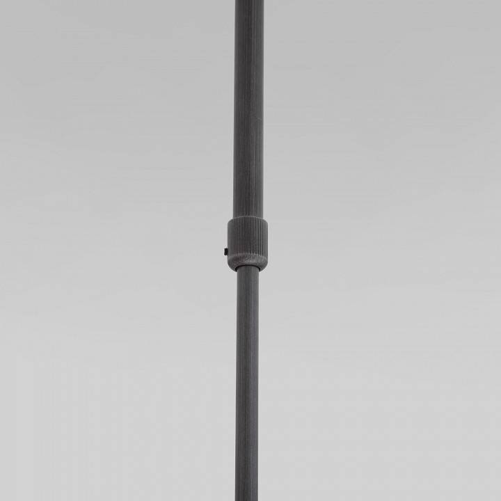 Светильник на штанге Eurosvet Pacific 50255/1 титан