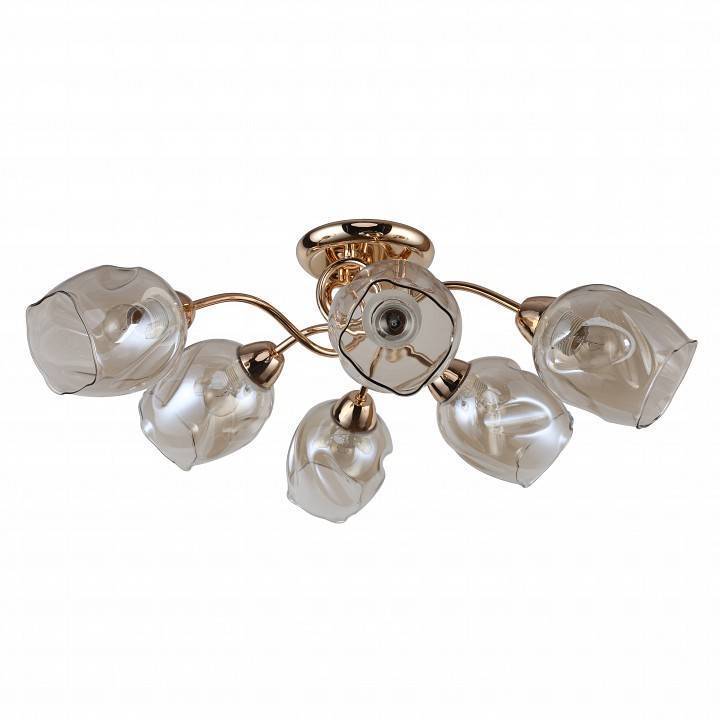 Люстра потолочная F-promo Bento 6xE14 2190-6U