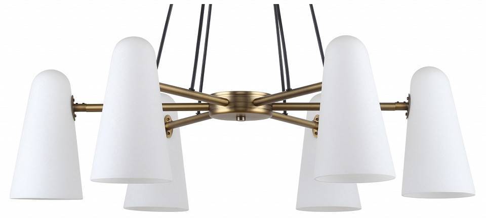 Подвесная люстра Favourite Vision 2763-6P