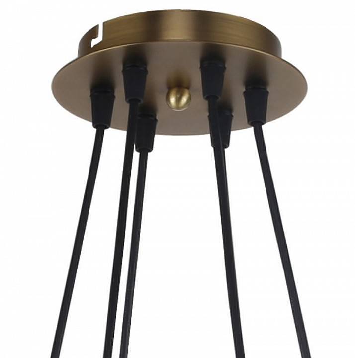 Подвесная люстра Favourite Vision 2763-6P