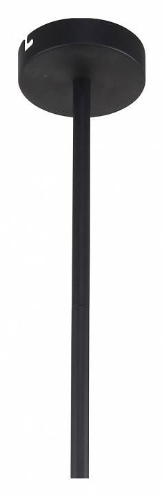 Люстра на штанге F-promo Chart 3092-8P