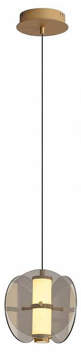 Подвесной светильник Favourite Fada 4625-1P