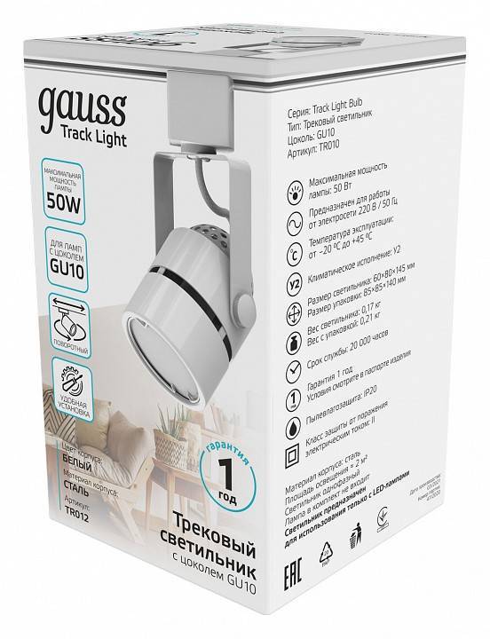 Светильник на штанге Gauss TR TR012