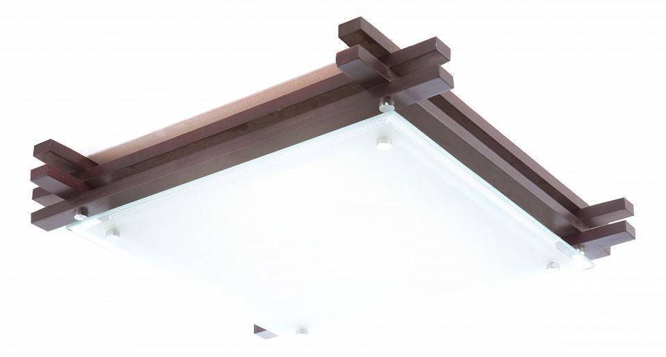 Светильник потолочный накладной Globo Edison 48324-2