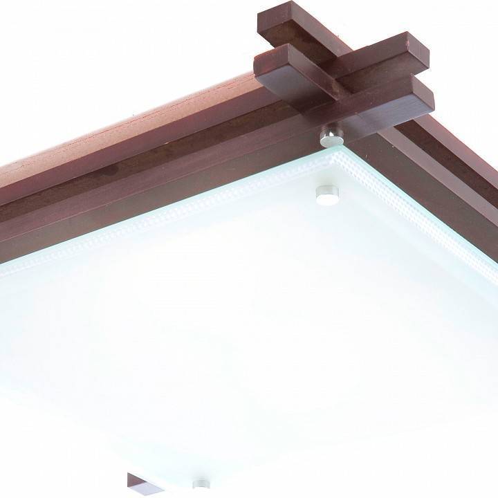 Светильник потолочный накладной Globo Edison 48324-2