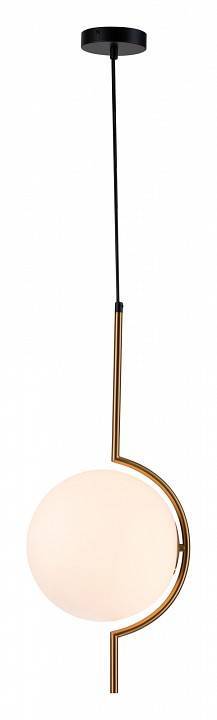 Подвесной светильник Indigo Opaco 11015/1P Black