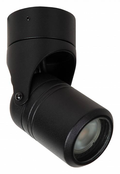 Светильник на штанге Lucide Niort 14825/01/30