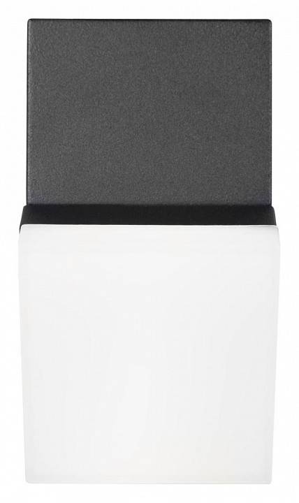 Накладной светильник Loft it Eterno 100010/A