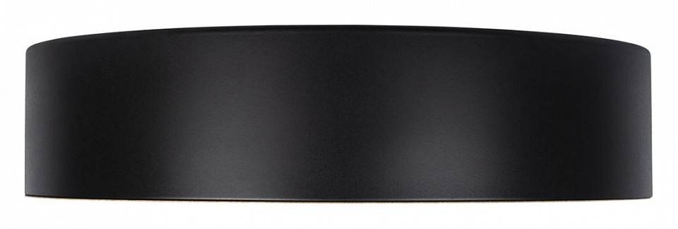 Накладной светильник Loft it Coin 10202 Black