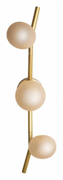 Бра Loft It Sakura 10212W Gold