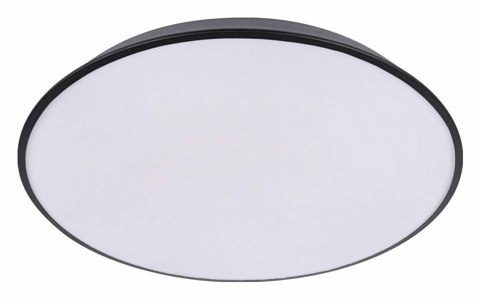 Накладной светильник Loft it Brim 10226 Black