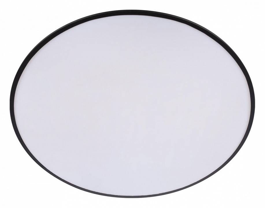 Накладной светильник Loft it Brim 10226 Black