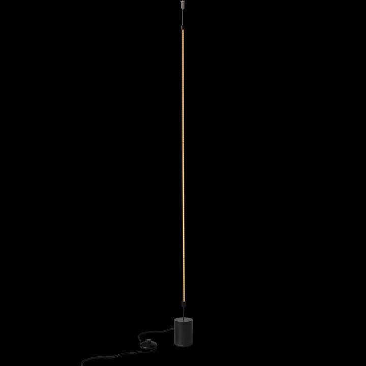 Светильник на растяжке Loft it Slim 3604-BL