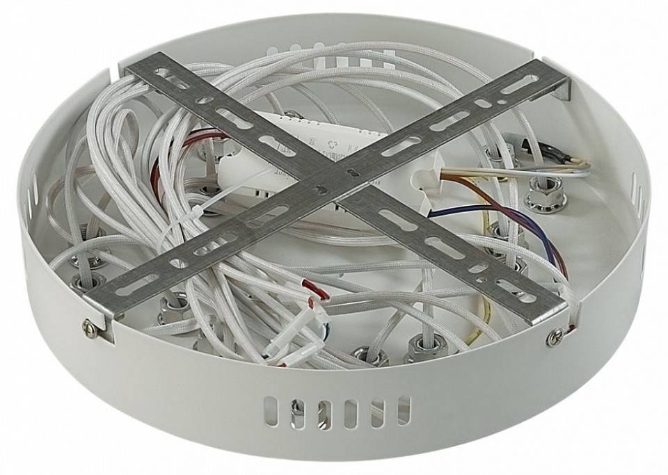 Потолочная люстра Lumion Alberta 8029/80CL