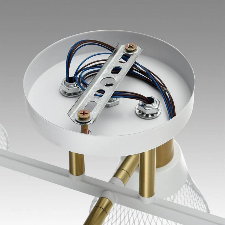 Люстра на штанге Lumion Anriya 8045/6C