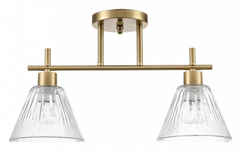 Светильник на штанге Lumion Vivian 8188/2C