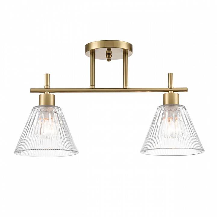 Светильник на штанге Lumion Vivian 8188/2C