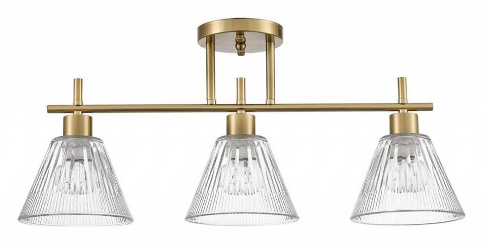 Светильник на штанге Lumion Vivian 8188/3C